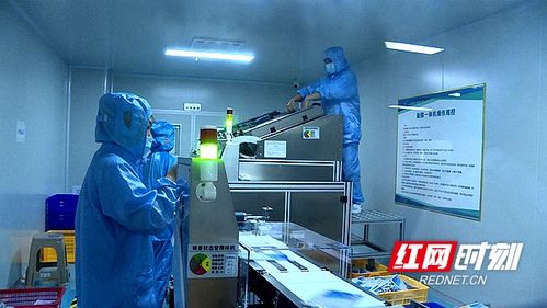 湖南省微生物學會赴安調(diào)研，推動生物基材料技術研發(fā)創(chuàng)新