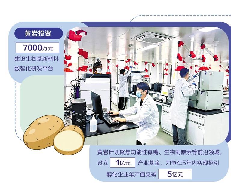當土豆遇上算力 浙江黃巖打造生物基新材料的技術策源地
